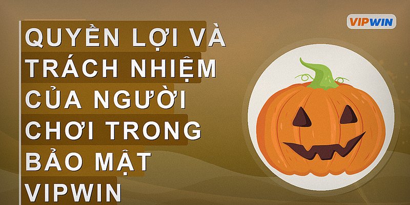 Quyền lợi và trách nhiệm của người chơi trong bảo mật vipwin