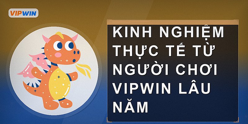 Kinh nghiệm thực tế từ người chơi Vipwin lâu năm